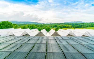 Al via il mercato dell’agrivoltaico
