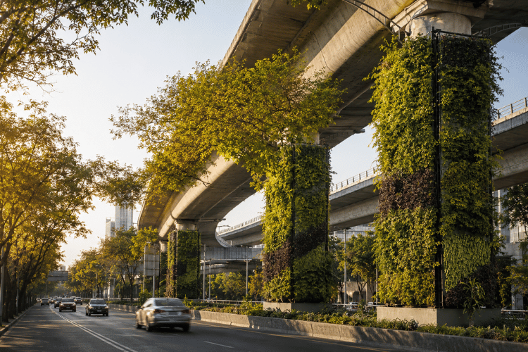 Il cemento che respira: a Città del Messico i pilastri del traffico diventano giardini verticali